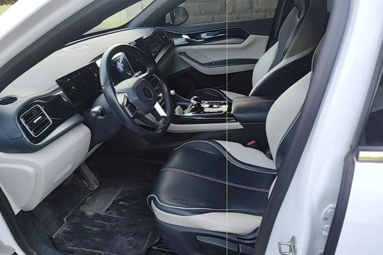 Used BYD Qin PLUS 2023 Champion Edition DM-i 120KM Leading Model Left Front Seat