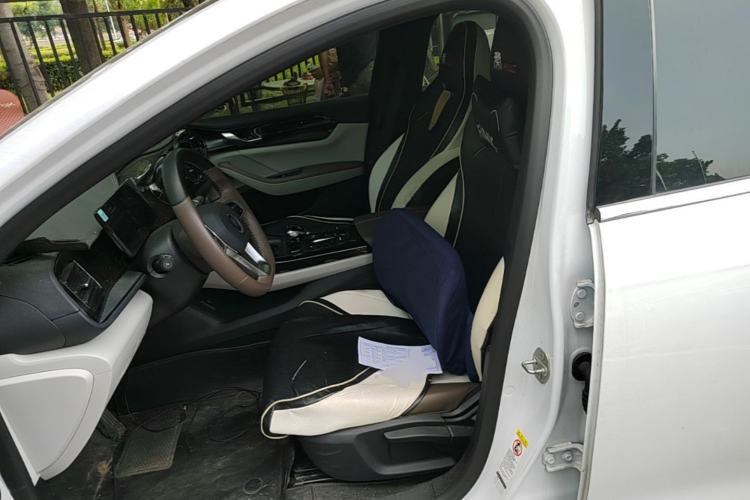 Used BYD Qin PLUS 2023 Champion Edition DM-i 55KM Leading Model Left Front Seat