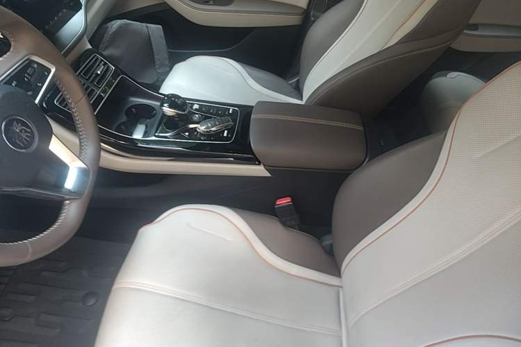 Used BYD Qin PLUS 2023 Champion Edition DM-i 120KM Leading Model Left Front Seat
