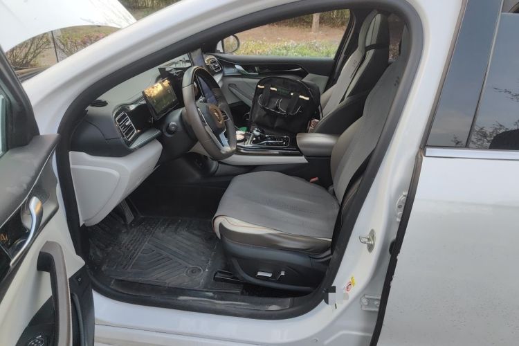 Used BYD Qin PLUS 2023 Champion Edition DM-i 120KM Beyond Model Left Front Seat