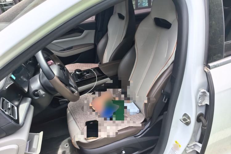 Used BYD Qin PLUS 2023 Champion Edition EV 420KM Superior Model Left Front Seat