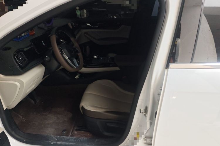 Used BYD Qin PLUS 2023 Champion Edition DM-i 55KM Leading Model Left Front Seat