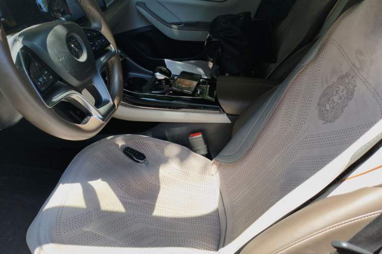 Used BYD Qin PLUS 2023 Champion Edition EV 420KM Leading Model Left Front Seat
