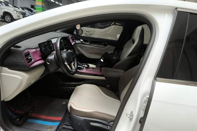 Used BYD Qin PLUS 2023 Champion Edition DM-i 120KM Leading Model Left Front Seat