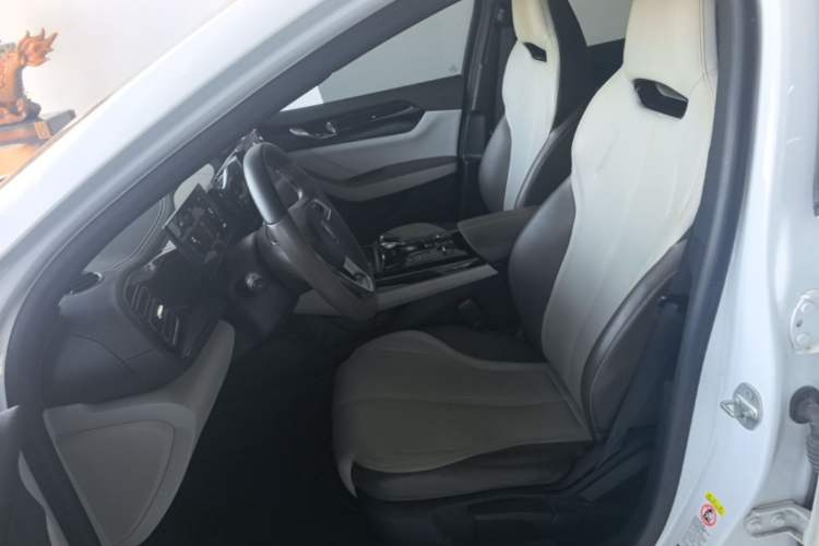 Used BYD Qin PLUS 2023 Champion Edition DM-i 55KM Leading Model Left Front Seat