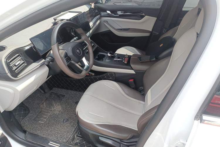 Used BYD Qin PLUS 2023 Champion Edition DM-i 55KM Leading Model Left Front Seat
