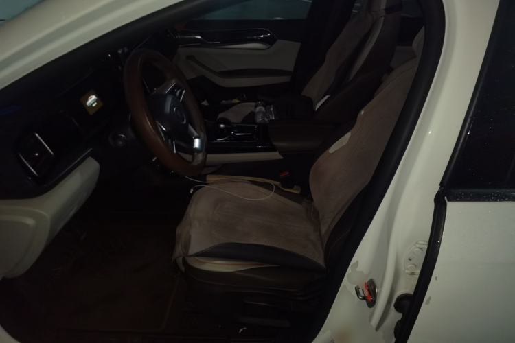 Used BYD Qin PLUS 2023 Champion Edition DM-i 120KM Leading Model Left Front Seat