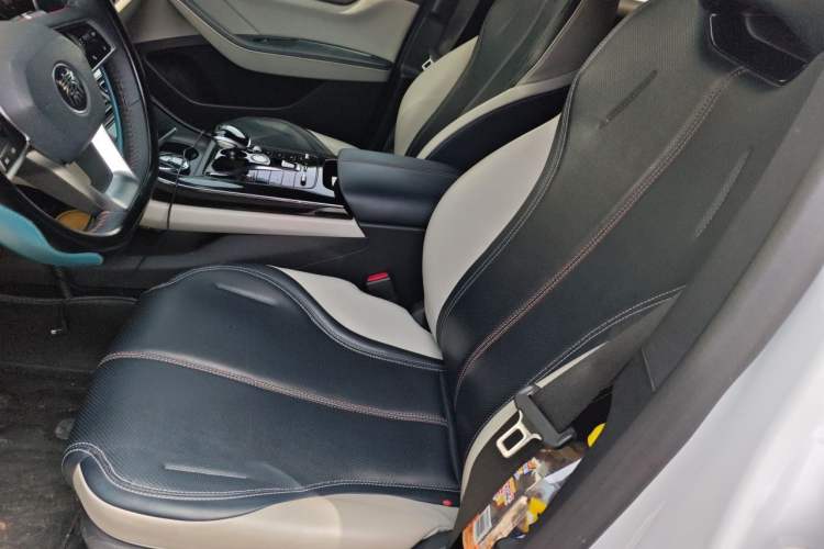 Used BYD Qin PLUS 2023 Champion Edition DM-i 55KM Leading Model Left Front Seat