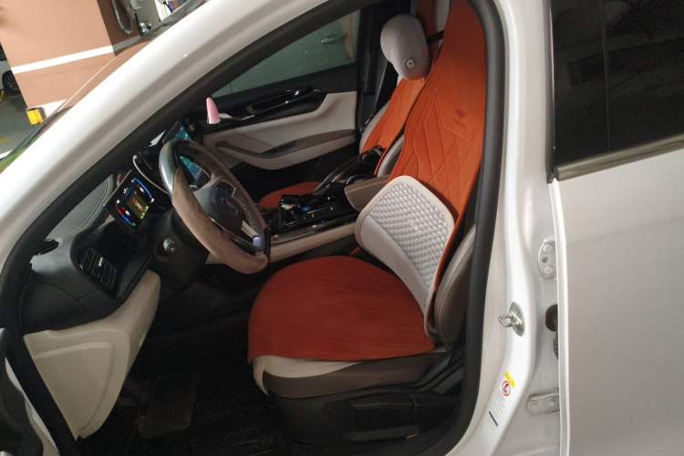 Used BYD Qin PLUS 2023 Champion Edition DM-i 55KM Leading Model Left Front Seat