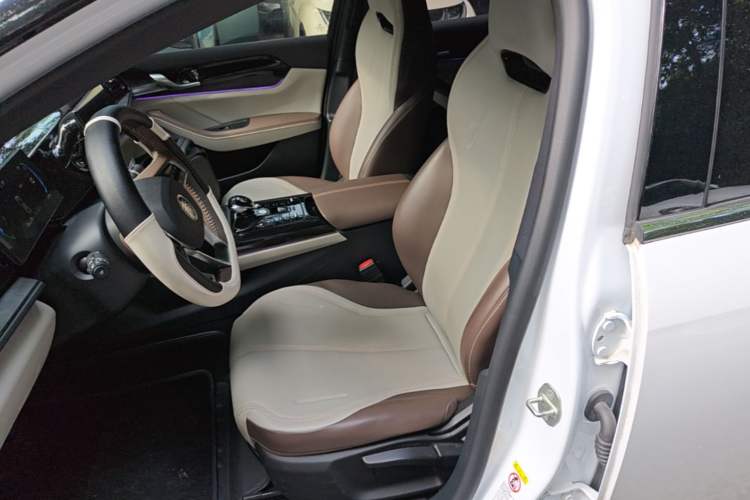 Used BYD Qin PLUS 2023 Champion Edition DM-i 55KM Leading Model Left Front Seat
