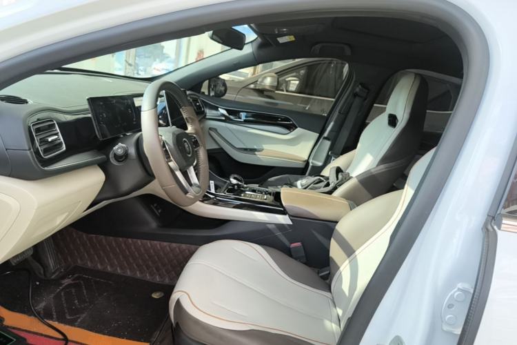 Used BYD Qin PLUS 2023 Champion Edition DM-i 120KM Leading Model Left Front Seat