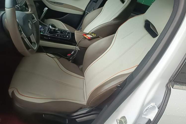 Used BYD Qin PLUS 2023 Champion Edition DM-i 120KM Leading Model Left Front Seat