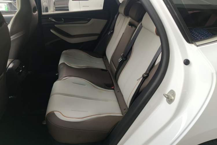 Used BYD Qin PLUS 2023 Champion Edition DM-i 120KM Leading Model Left Rear Seat