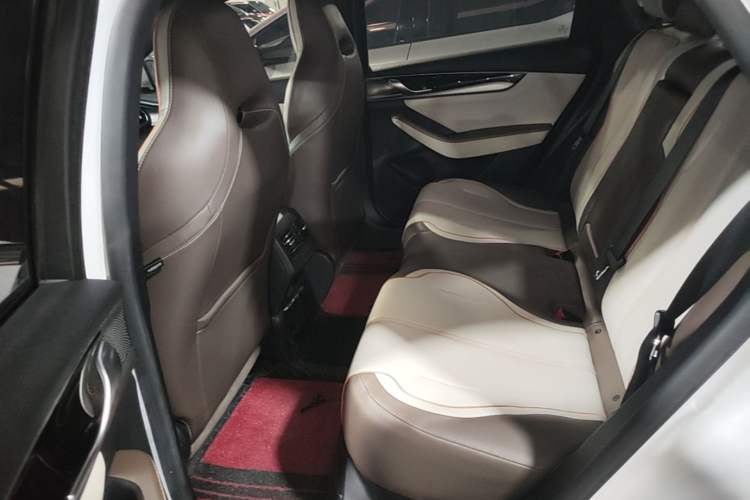 Used BYD Qin PLUS 2023 Champion Edition EV 510KM Leading Model Left Rear Seat