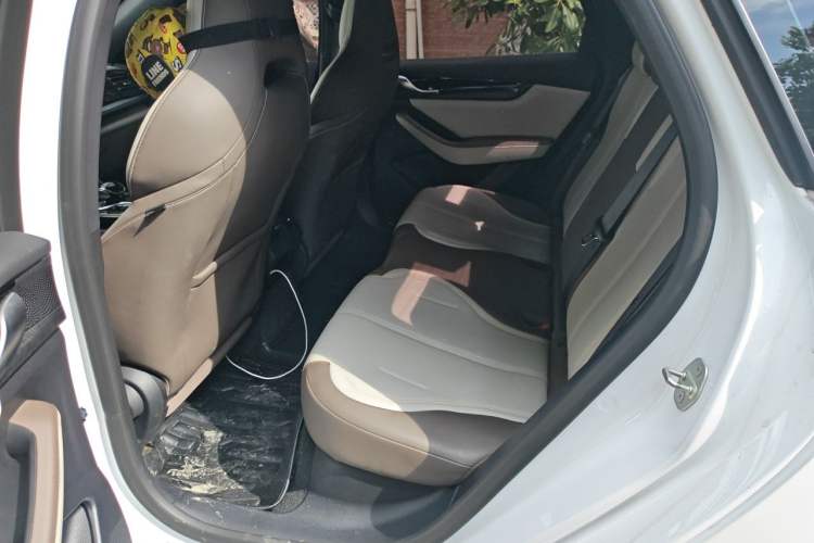 Used BYD Qin PLUS 2023 Champion Edition DM-i 55KM Leading Model Left Rear Seat