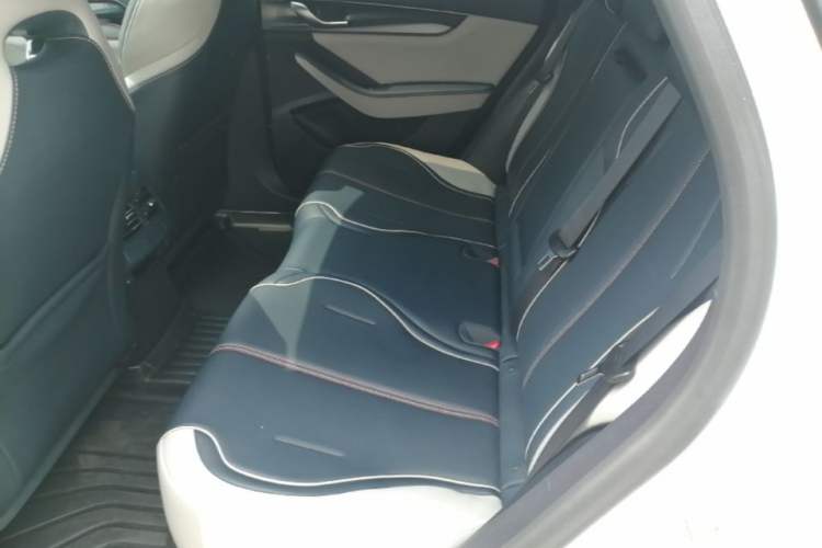 Used BYD Qin PLUS 2023 Champion Edition DM-i 120KM Leading Model Left Rear Seat