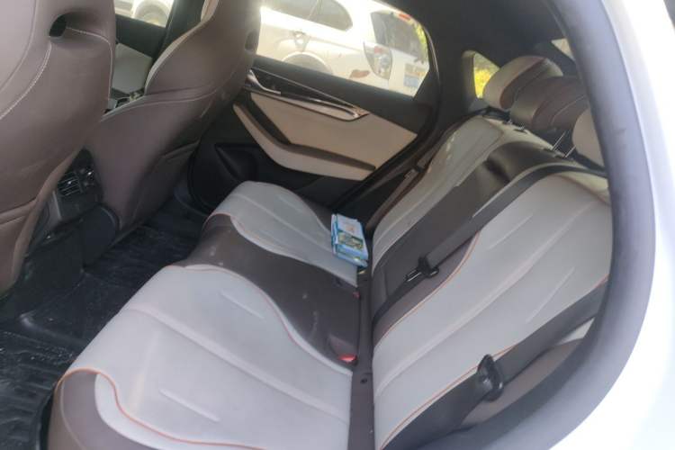 Used BYD Qin PLUS 2023 Champion Edition DM-i 55KM Superior Model Left Rear Seat