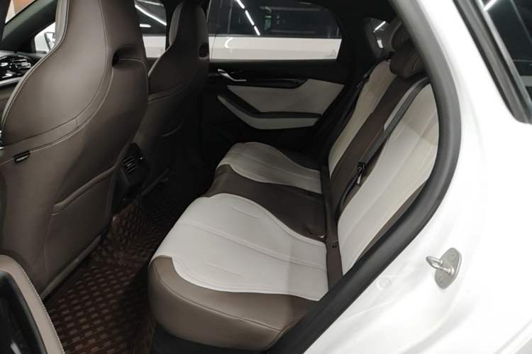 Used BYD Qin PLUS 2023 Champion Edition DM-i 55KM Leading Model Left Rear Seat
