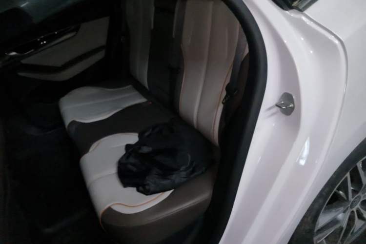 Used BYD Qin PLUS 2023 Champion Edition DM-i 120KM Beyond Model Left Rear Seat