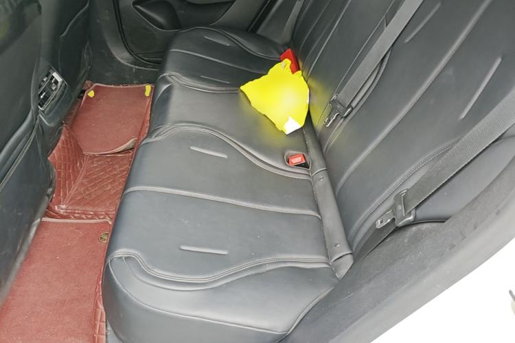 Used BYD Qin PLUS 2023 EV 510KM Travel Edition Left Rear Seat