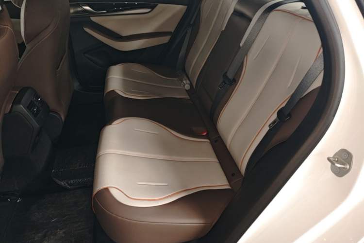 Used BYD Qin PLUS 2023 Champion Edition DM-i 120KM Beyond Model Left Rear Seat