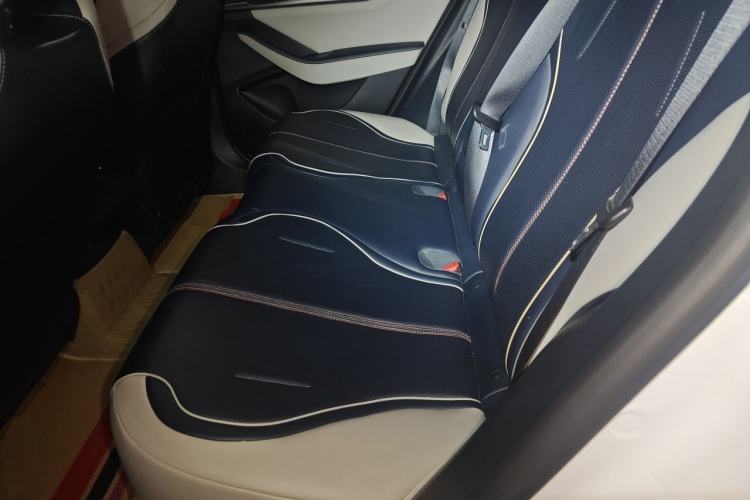 Used BYD Qin PLUS 2023 Champion Edition DM-i 120KM Excellence Model Left Rear Seat