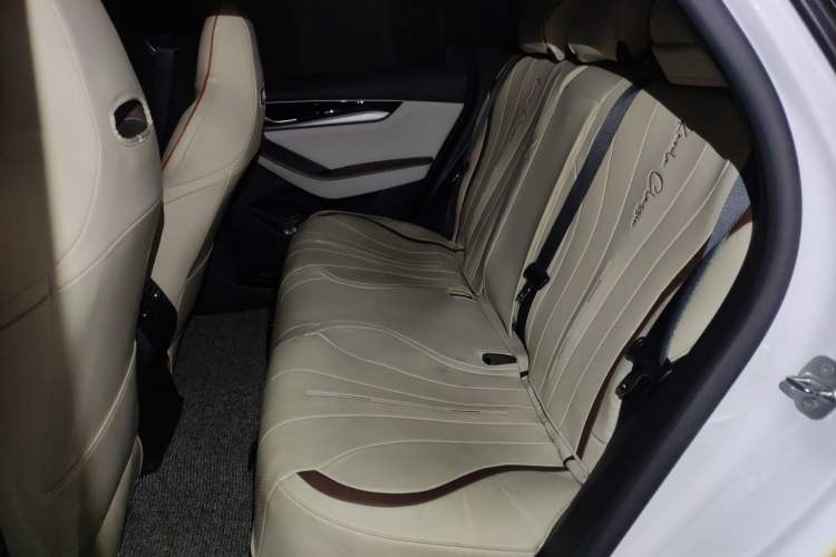 Used BYD Qin PLUS 2023 Champion Edition EV 510KM Leading Model Left Rear Seat