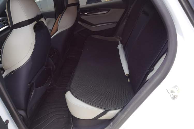 Used BYD Qin PLUS 2023 Champion Edition DM-i 120KM Leading Model Left Rear Seat