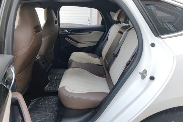 Used BYD Qin PLUS 2023 Champion Edition DM-i 120KM Leading Model Left Rear Seat