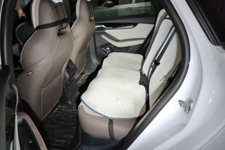 Used BYD Qin PLUS 2023 Champion Edition DM-i 55KM Leading Model Left Rear Seat