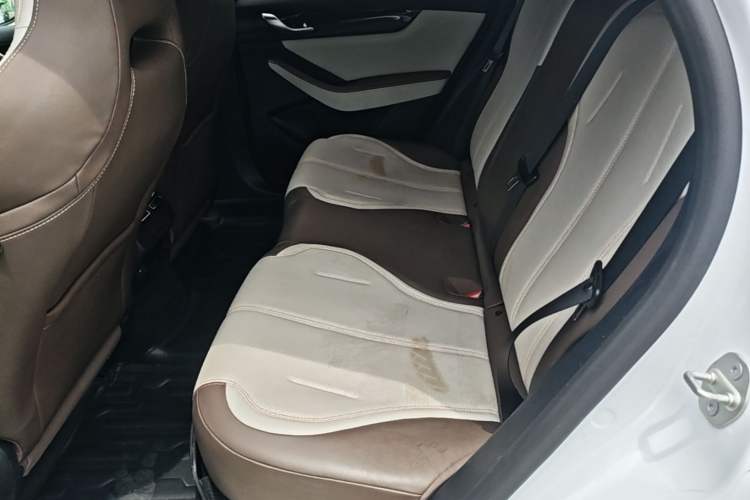 Used BYD Qin PLUS 2023 Champion Edition DM-i 55KM Leading Model Left Rear Seat