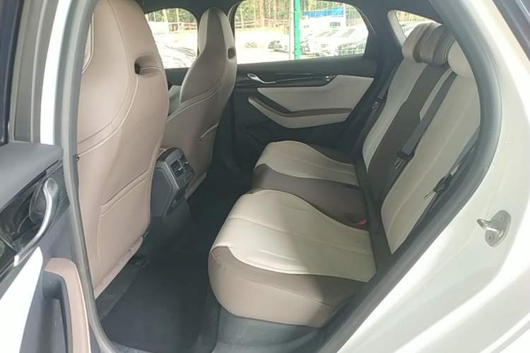 Used BYD Qin PLUS 2023 Champion Edition DM-i 55KM Leading Model Left Rear Seat