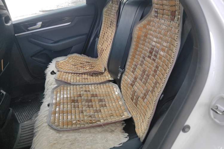 Used BYD Qin PLUS  Left Rear Seat