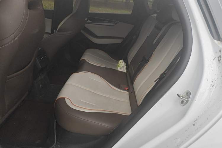 Used BYD Qin PLUS 2023 Champion Edition DM-i 120KM Leading Model Left Rear Seat