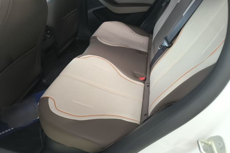 Used BYD Qin PLUS 2023 Champion Edition DM-i 120KM Leading Model Left Rear Seat