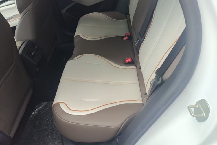 Used BYD Qin PLUS 2023 Champion Edition EV 510KM Excellence Model Left Rear Seat