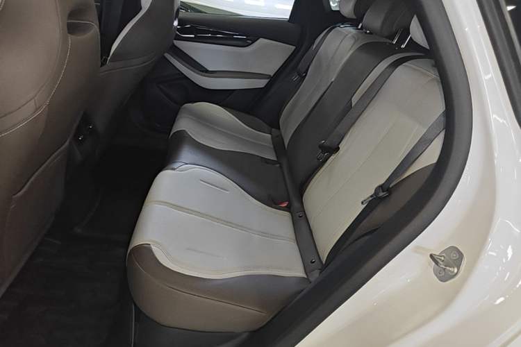 Used BYD Qin PLUS 2023 Champion Edition DM-i 55KM Leading Model Left Rear Seat