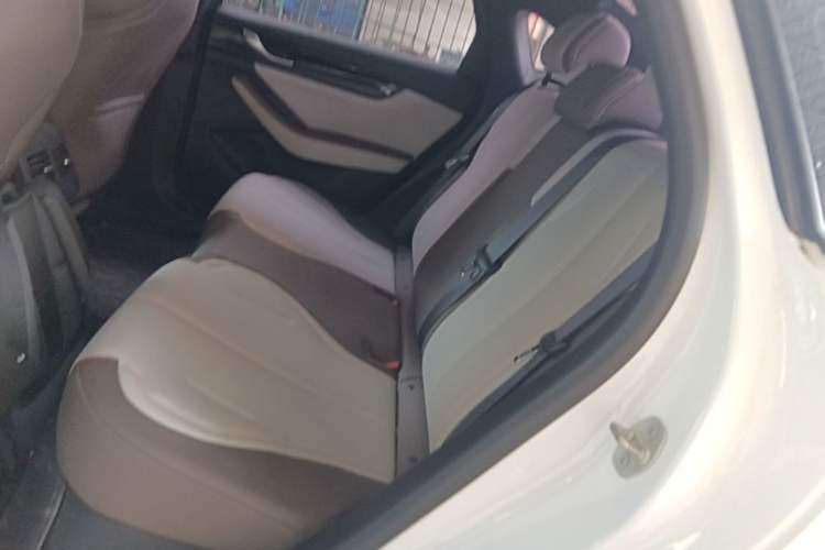Used BYD Qin PLUS 2023 Champion Edition DM-i 55KM Leading Model Left Rear Seat