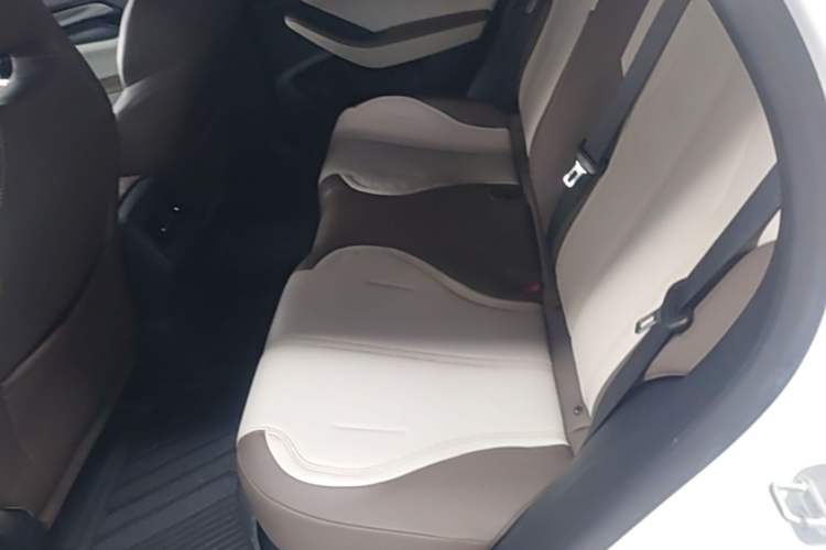 Used BYD Qin PLUS 2023 Champion Edition DM-i 55KM Leading Model Left Rear Seat