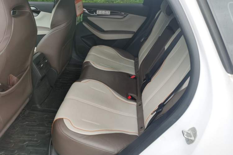 Used BYD Qin PLUS 2023 Champion Edition EV 510KM Leading Model Left Rear Seat