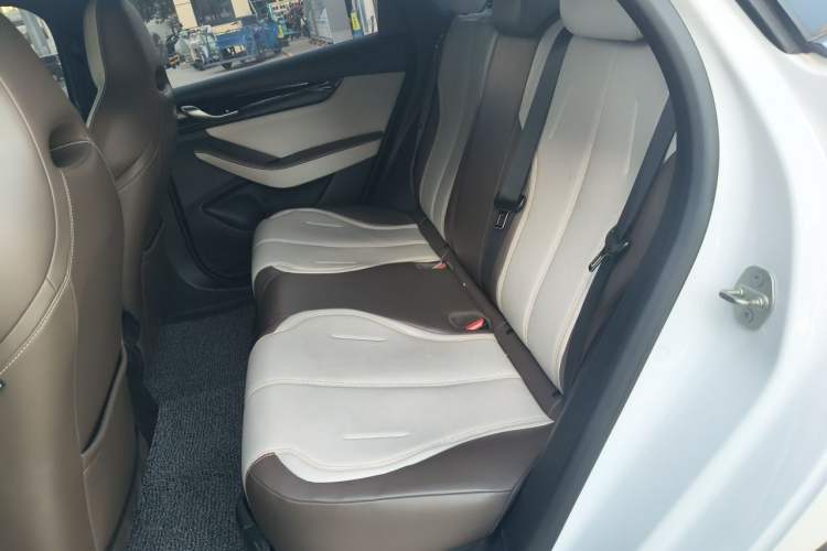 Used BYD Qin PLUS 2023 Champion Edition DM-i 55KM Leading Model Left Rear Seat