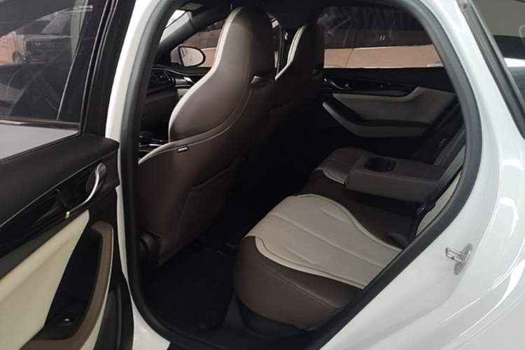 Used BYD Qin PLUS 2023 Champion Edition EV 510KM Leading Model Left Rear Seat