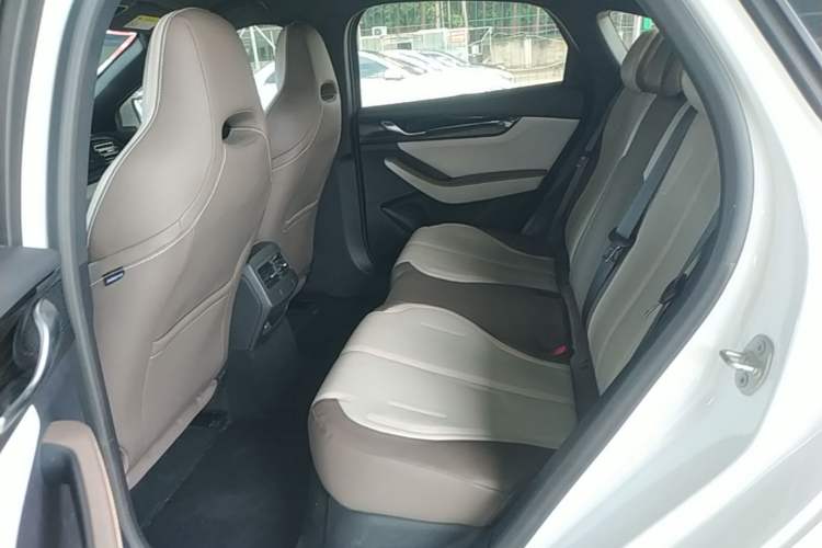 Used BYD Qin PLUS 2023 Champion Edition DM-i 55KM Leading Model Left Rear Seat