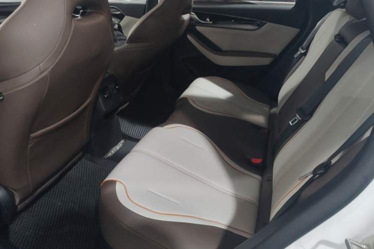 Used BYD Qin PLUS 2023 Champion Edition DM-i 120KM Leading Model Left Rear Seat