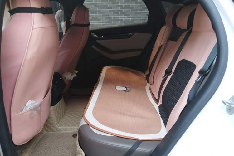 Used BYD Qin PLUS 2023 Champion Edition DM-i 55KM Leading Model Left Rear Seat