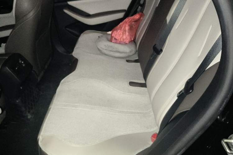 Used BYD Qin PLUS 2023 Champion Edition DM-i 55KM Leading Model Left Rear Seat
