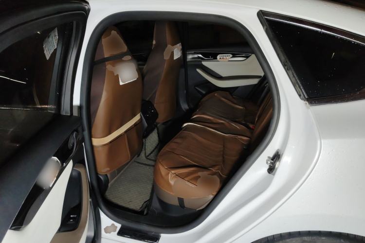 Used BYD Qin PLUS 2023 Champion Edition EV 510KM Excellence Model Left Rear Seat