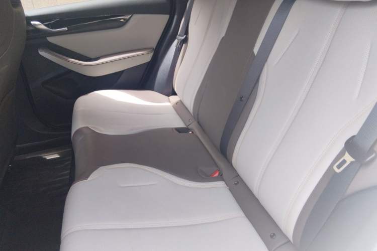 Used BYD Qin PLUS 2023 Champion Edition DM-i 55KM Leading Model Left Rear Seat
