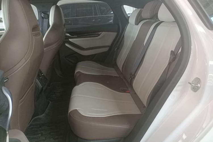 Used BYD Qin PLUS 2023 Champion Edition DM-i 55KM Leading Model Left Rear Seat