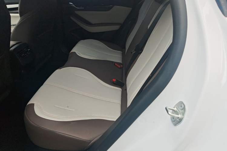 Used BYD Qin PLUS 2023 Champion Edition DM-i 55KM Leading Model Left Rear Seat